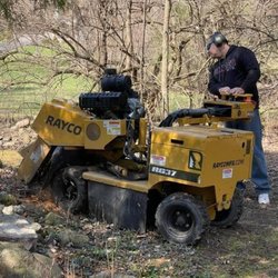 Clark's Stump Removal & Tree Service