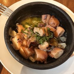 Mares de Chile - Octopus