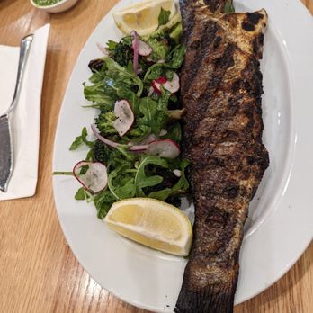Rothchild's Kitchen - Bronzino - Mediterranean Near Me - Great Neck, New York Rothchild's Kitchen - Bronzino - Mediterranean Near Me - Great Neck, New York