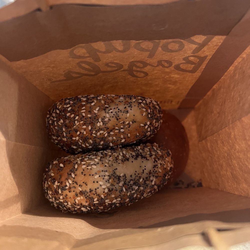 PopUp Bagels - Everything bagel - Bagels Near Me - Boston, Massachusetts