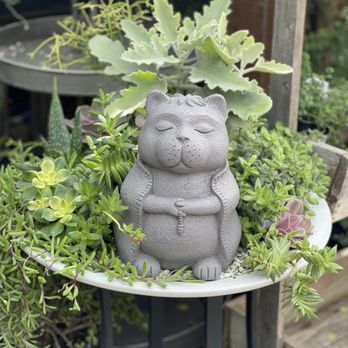 Tansy - Cute plant display! - Home Decor Near Me - Burbank, California