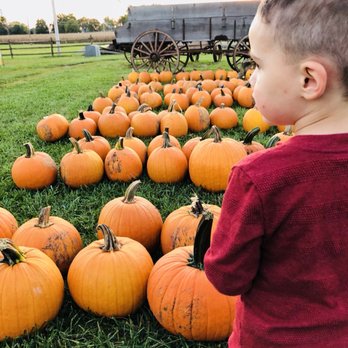 Lark Ranch - Pumpkins! - Ranches Near Me - Greenfield, Indiana