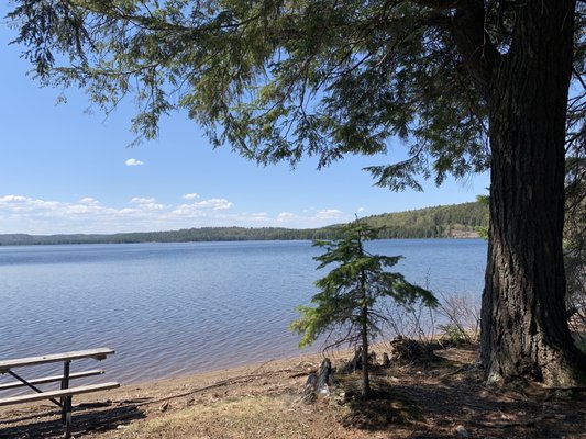 Algonquin Provincial Park by null