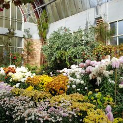 Wintergarden Pavilion Cafe - May 2015