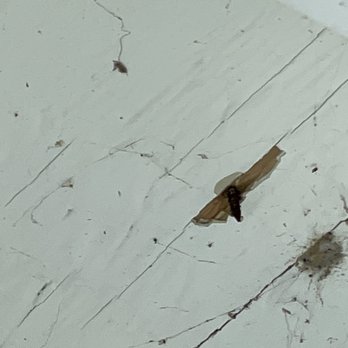 Caruzo's Roofing Contractors - Rusted screws used. Penetration from roof when installed. - Roofing Near Me - San Bruno, California