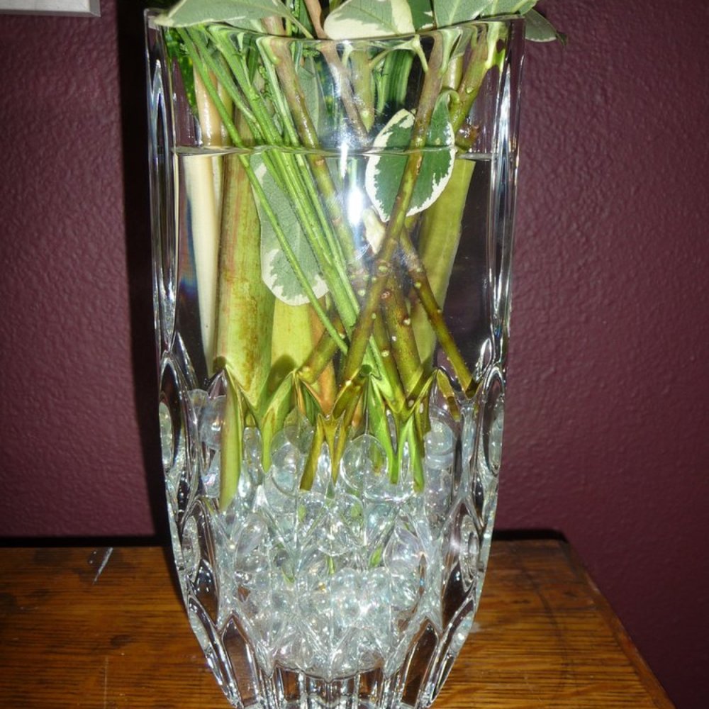 Columbia City Bouquet - great customer service: I provided my own vase and they added these marbles to create the correct height/effect. - Cards & Stationery Near Me - Seattle, Washington Columbia City Bouquet - great customer service: I provided my own vase and they added these marbles to create the correct height/effect. - Cards & Stationery Near Me - Seattle, Washington