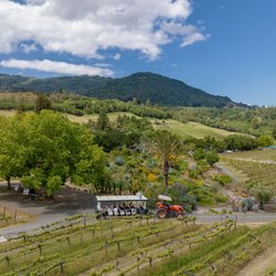 Benziger Family Winery - Take a ride through the vineyards on our award-winning Biodynamic Tractor Tram Tour. Voted Best Winery Tour by USA Today 10Best.