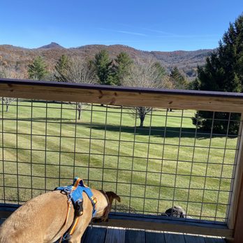 Caddyshack Cafe - a dog on a deck looking out over a golf course - Sandwiches Near Me - Sugar Mountain, North Carolina