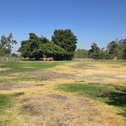 Aurantia Dog Park - Dog Park