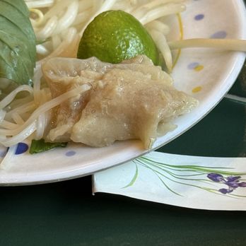 Hot As Pho - Covered in hair, which is "normal" btw - Vietnamese Near Me - Seattle, Washington Hot As Pho - Covered in hair, which is "normal" btw - Vietnamese Near Me - Seattle, Washington