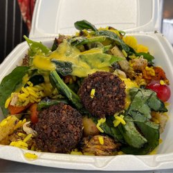 Octopus Falafel Truck - Full plate of goodness