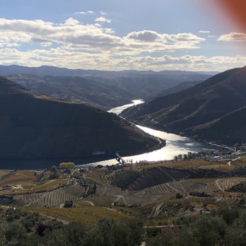 Bago D'Uva 360º - Tours Near Me - Porto, 13
