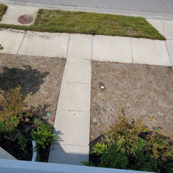 Curb Appeal Landscaping - Front lawn after Remington damaged lawn - Landscaping Near Me Curb Appeal Landscaping - Front lawn after Remington damaged lawn - Landscaping Near Me