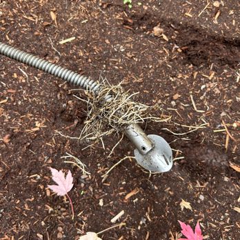 CT Drains And Sewer Solutions - Roots storm drain - Plumbing Near Me
