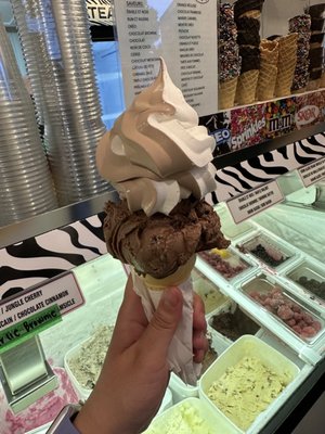 Wild Willy’s Ice Cream by null