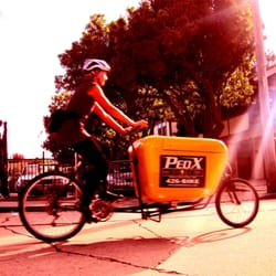 PedX Courier & Cargo