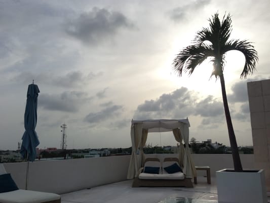 The Palm at Playa by null