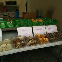Peoples Church Farmers Market - So many mushrooms