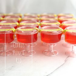 Ethyl Ambrosia - Citrus Punch - Red