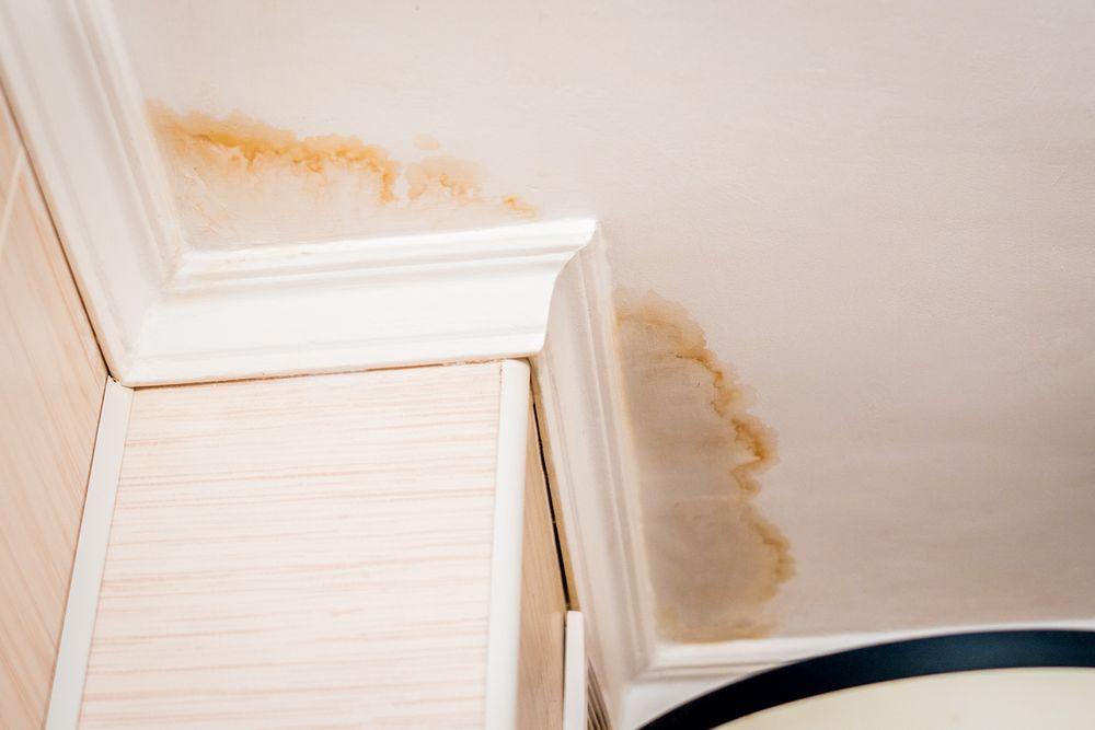 Slide of Gulf Coast Roofing