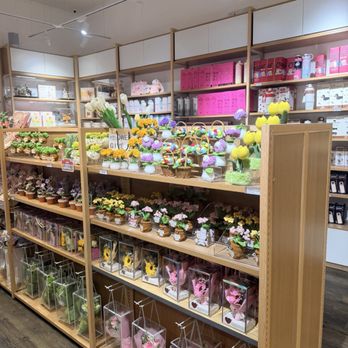 Rumi Life - Toy Stores Near Me - Paramus, New Jersey Rumi Life - Toy Stores Near Me - Paramus, New Jersey