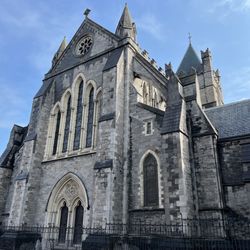Dublinia