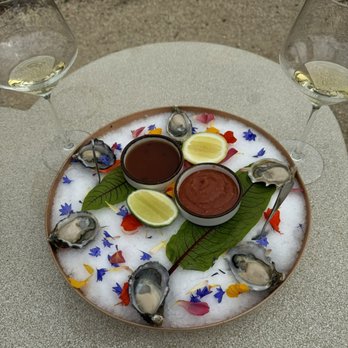 DAOU Vineyards - Fresh oysters, should've ordered a dozen! - Wineries Near Me - Paso Robles, California DAOU Vineyards - Fresh oysters, should've ordered a dozen! - Wineries Near Me - Paso Robles, California