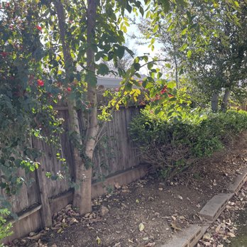 tree service - Tree Services Near Me tree service - Tree Services Near Me