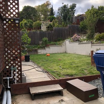 First Choice Landscape and Design - BEFORE. Ew, literally a swamp and rotting deck with hidden and unhidden hazards. - Landscaping Near Me First Choice Landscape and Design - BEFORE. Ew, literally a swamp and rotting deck with hidden and unhidden hazards. - Landscaping Near Me