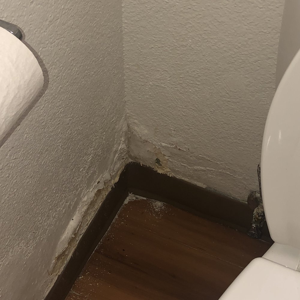 Motel 6 - Water Damage near toilet.. - Hotels Near Me - Lompoc, California Motel 6 - Water Damage near toilet.. - Hotels Near Me - Lompoc, California