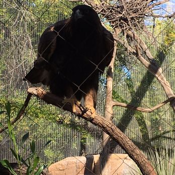 Phoenix Zoo - Zoos Near Me - Phoenix, Arizona