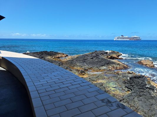 Don the Beachcomber by null