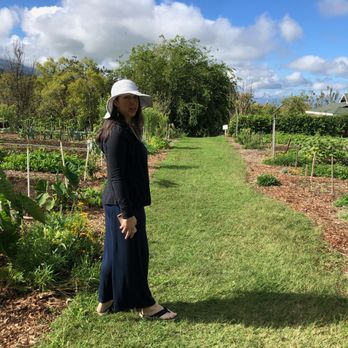 Maui Bees - About to walk through the rows of vegetables . Butterflies, bees, and birds surrounding me. - Attraction Farms Near Me - Kula, Hawaii Maui Bees - About to walk through the rows of vegetables . Butterflies, bees, and birds surrounding me. - Attraction Farms Near Me - Kula, Hawaii