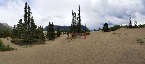 Carcross Desert by null