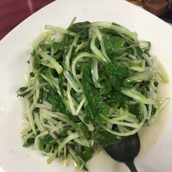 Shanghai Delight - 鸡毛菜 - Shanghainese Near Me - Milpitas, California Shanghai Delight - 鸡毛菜 - Shanghainese Near Me - Milpitas, California