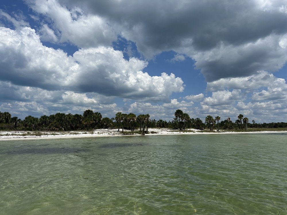 Scallop Cove Too Logo