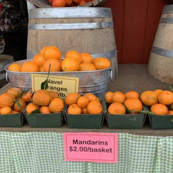 Rodin Farms - Mandarins - Farmers Market Near Me - Modesto, California Rodin Farms - Mandarins - Farmers Market Near Me - Modesto, California