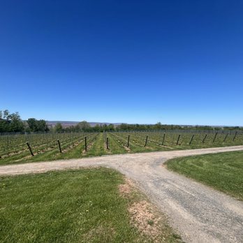 Lightfoot & Wolfville - Wine Tasting Room Near Me - Wolfville, Nova Scotia Lightfoot & Wolfville - Wine Tasting Room Near Me - Wolfville, Nova Scotia