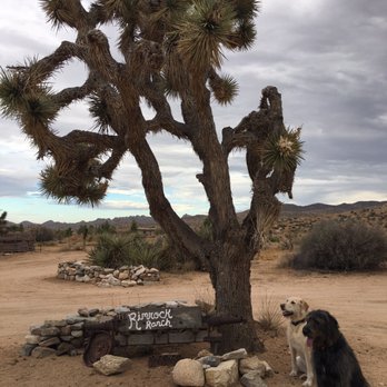 Rimrock Ranch - Hotels Near Me - Pioneertown, California Rimrock Ranch - Hotels Near Me - Pioneertown, California