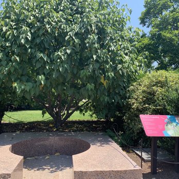 The Moongate Garden - Parks Near Me - Washington, DC, District of Columbia