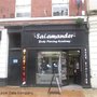 Photo of Salamander