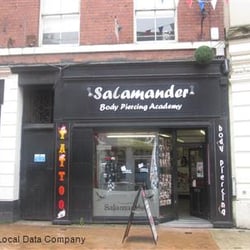 Salamander