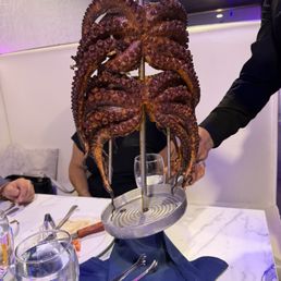 A grill octopus options A grill octopus options