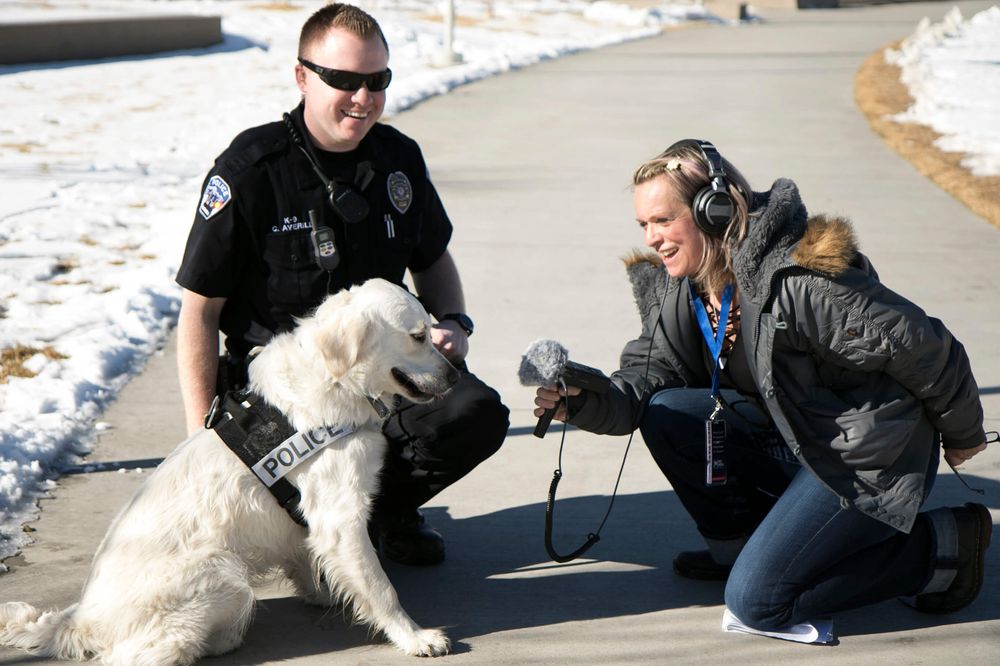 GOLDEN RETRIEVER RESCUE OF THE ROCKIES Updated September 2024 13