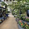 Metropolitan Plant & Flower Exchange gift card