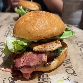 Black Sheep - grilled chicken sandwich w/ gluten free bun - American Near Me - Springfield, Missouri