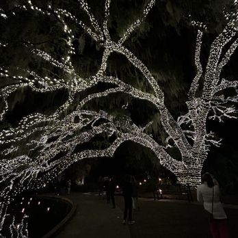 Brookgreen Gardens - Night of a Thousand Candles. - Museums Near Me - Murrells Inlet, South Carolina
