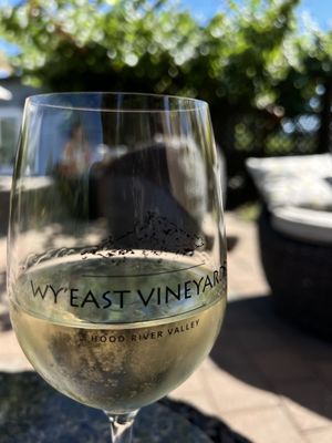 Wy'East Vineyards by null