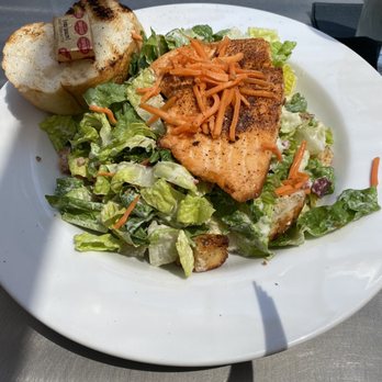 Mo's River Road Grill - Cesar Salmon salad - Wine Bars Near Me - Salinas, California