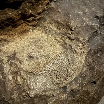 Niagara Cave - Tours Near Me - Harmony, Minnesota Niagara Cave - Tours Near Me - Harmony, Minnesota